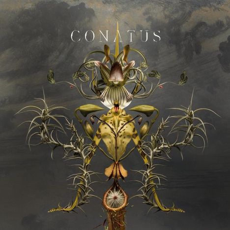 Joep Beving (geb. 1976): Conatus (Remix-Album), CD