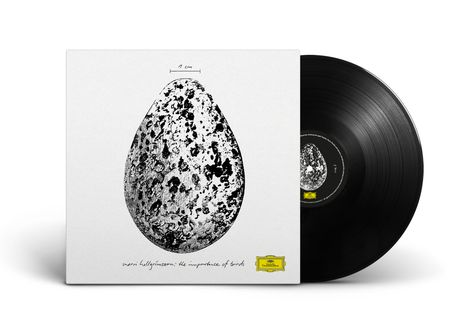 Snorri Hallgrimsson (geb. 1989): The Importance of Birds (180g), LP