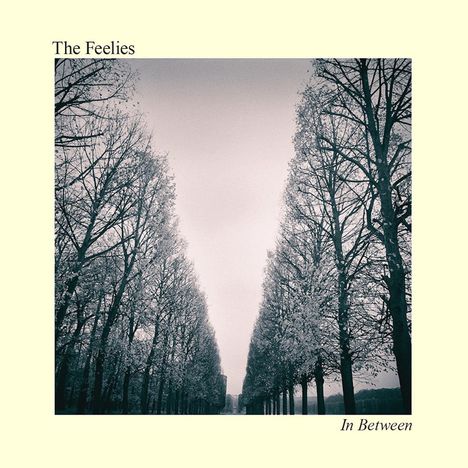 The Feelies: In Between, LP