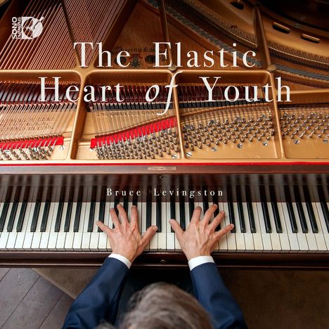 „The Elastic Heart of Youth“, „Bruce Levingston“, Hände spielen Klavier, Innenansicht eines Flügels sichtbar.