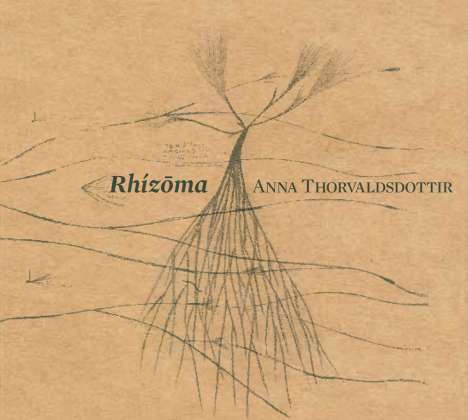 Anna Thorvaldsdottir (geb. 1977): Dreaming, CD