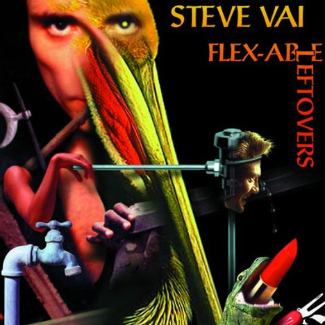 Steve Vai: Flex-Able Leftovers, CD