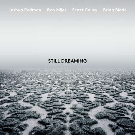 Joshua Redman, Ron Miles, Scott Cooley &amp; Brian Blade: Still Dreaming, CD