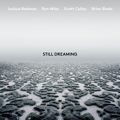 Joshua Redman, Ron Miles, Scott Cooley & Brian Blade: Still Dreaming, LP