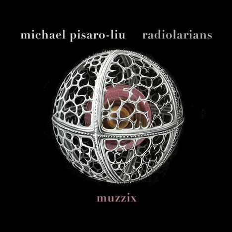 Michael Pisaro (geb. 1961): Radiolarians, CD