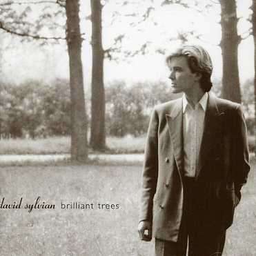 David Sylvian: Brilliant Trees, CD