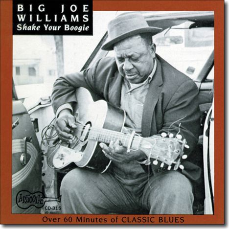 Big Joe Williams (Guitar/Blues): Shake Your Boogie, CD