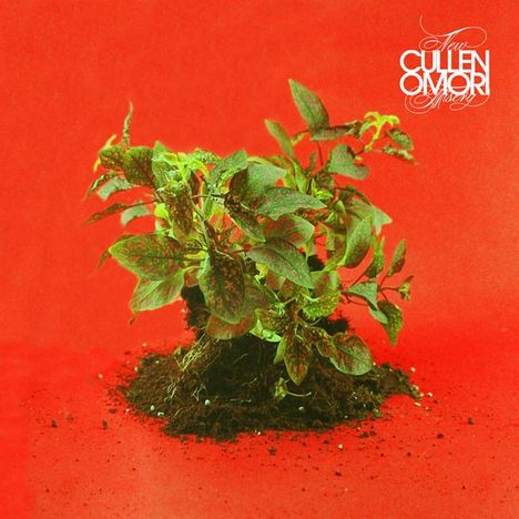 Cullen Omori: New Misery, LP