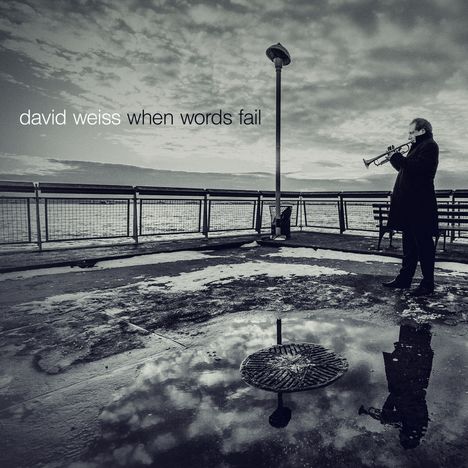 David Weiss (Trumpet) (geb. 1964): When Words Fail, CD