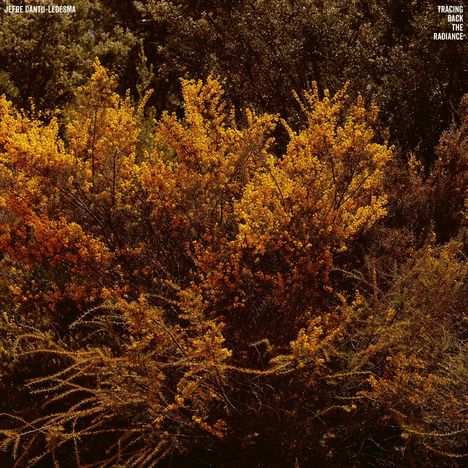 Jefre Cantu-Ledesma: Tracing Back The Radiance, LP