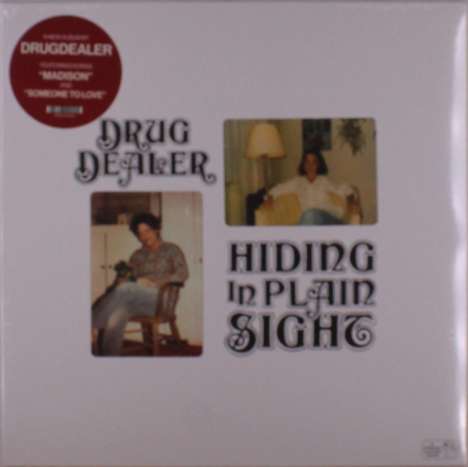 Drugdealer: Hiding In Plain Sight, LP