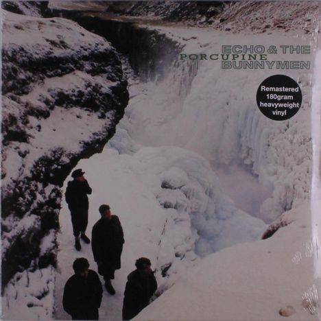Echo &amp; The Bunnymen: Porcupine (remastered) (180g), LP