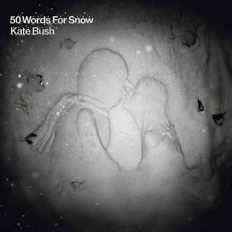 Kate Bush (geb. 1958): 50 Words For Snow (2018 Remaster) (180g), 2 LPs