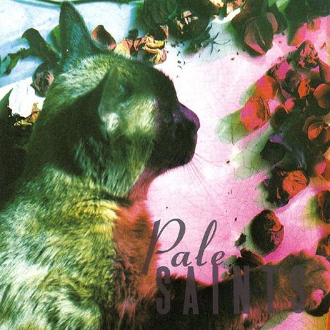 Pale Saints: The Comforts Of Madness (30th Anniversary Edition), 2 CDs