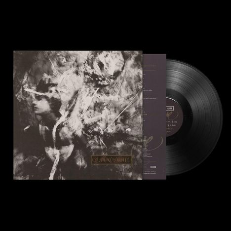 Text: "STADSWAL". Plattencover mit abstraktem, verschwommenem Bild eines Gesichts, daneben eine schwarze Schallplatte.