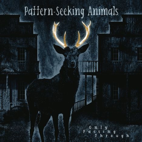 Pattern-Seeking Animals: Only Passing Through, CD