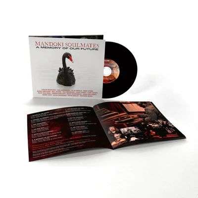ManDoki Soulmates: A Memory Of Our Future, 2 LPs