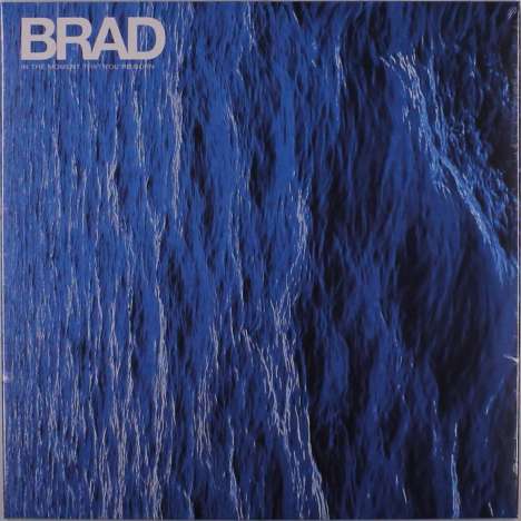 Brad: In The Moment That You're Born, LP
