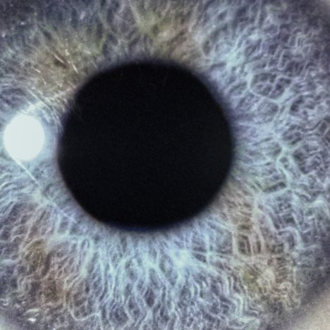 Nahaufnahme einer Iris mit bläulichen und grauen Mustern um eine dunkle Pupille.