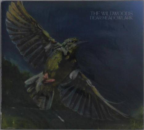 "The Wildwoods Dear Meadowlark" oben rechts. Illustration eines fliegenden Vogels mit ausgebreiteten Flügeln vor dunklem Hintergrund.