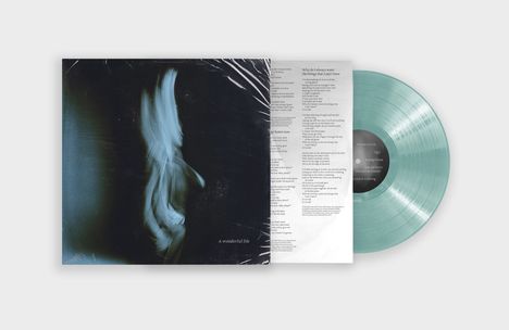 Tom Odell (geb. 1990): A Wonderful Life (Limited Indie Edition) (Coke Bottle Green Transparent Vinyl), LP