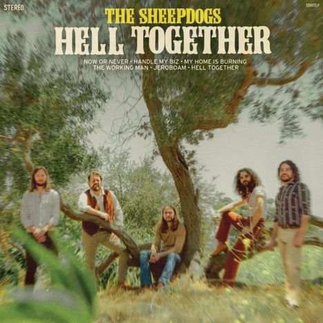 The Sheepdogs: Hell Together, LP