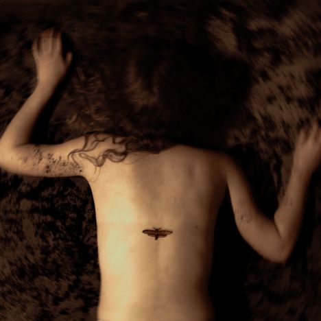 Keine Texte vorhanden. Eine Person liegt mit nacktem Rücken und einem kleinen Insekten-Tattoo darauf auf dunklem Boden.