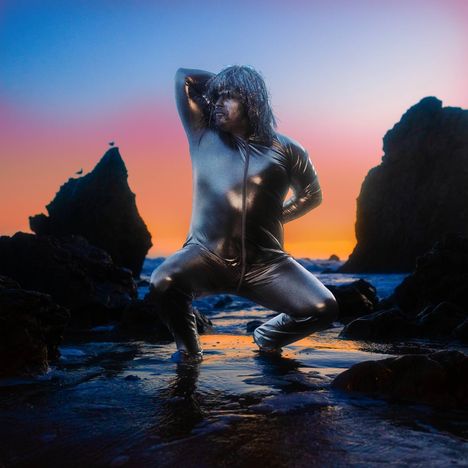 Kein Text vorhanden. Eine Person in einem silbernen Anzug posiert vor einer Küstenlandschaft bei Sonnenuntergang.