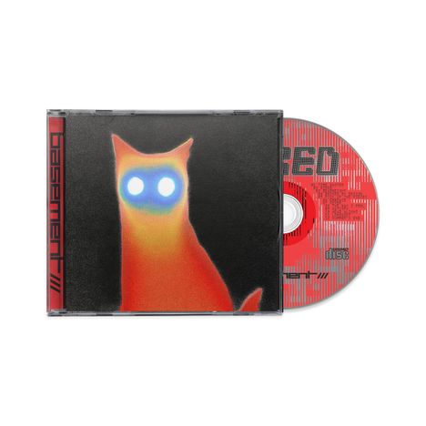 Eine CD mit der Aufschrift "basement" im Hüllenrücken. Ein leuchtendes, stilisiertes Katzenbild in Rot und Blau.