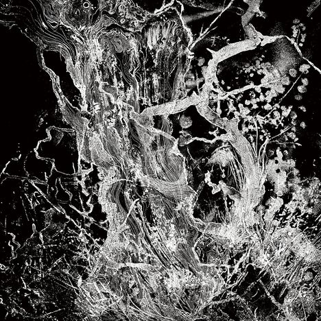 Abstrakte Illustration in Schwarz-Weiß mit komplexen, organischen Linien und Flecken, die an Baumstrukturen erinnern.
