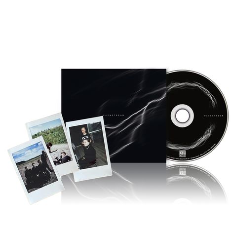 "Painstream" auf einem CD-Cover und der Disc. Drei Polaroid-Fotos, eins zeigt eine Landschaft.