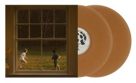 Zwei braune Vinylplatten. Im Hintergrund laufen zwei Personen auf einer Wiese, durch ein Fenster betrachtet.