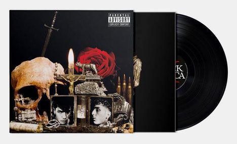 "Parental Advisory Explicit Content" steht oben. Ansicht einer Schallplatte mit düsterem Stillleben aus Totenkopf, Kerze, Rose und Fotos.