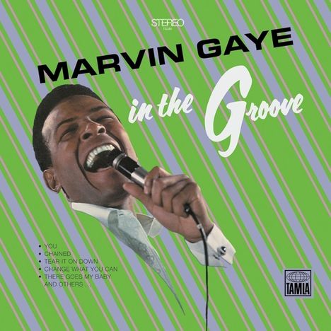 Marvin Gaye: In The Groove (180g), LP