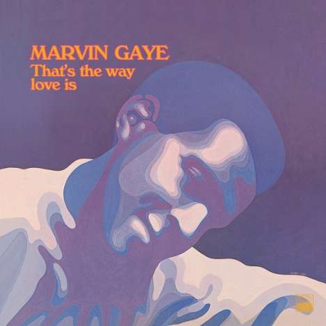 Marvin Gaye: That's The Way Love Is (180g) (stereo), LP