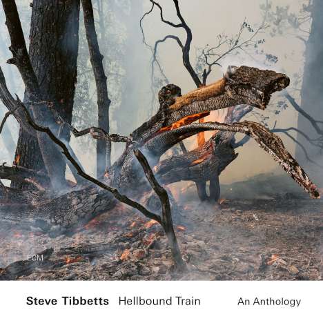 Steve Tibbetts (geb. 1954): Hellbound Train: An Anthology, 2 CDs