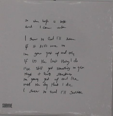 Handgeschriebener Text über Entschlossenheit und Überleben. Unten links steht gedruckt: "SURVIVE".