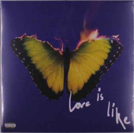 Text: "Love is like". Ein Schmetterling mit gelben und schwarzen Flügeln, dessen obere Ecke brennt, vor einem dunkelblauen Hintergrund.