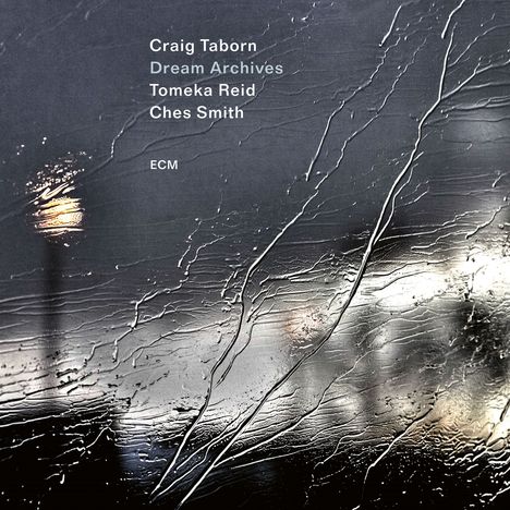 Texte: Craig Taborn, Dream Archives, Tomeka Reid, Ches Smith, ECM. Kunstwerk: Strukturiertes, nasses Glas mit Lichteffekten.