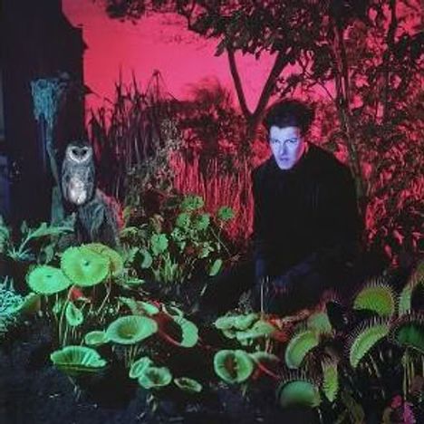Ein Mann kniet in einem Garten mit fleischfressenden Pflanzen. Eine Eule sitzt daneben. Der Hintergrund ist rot beleuchtet.