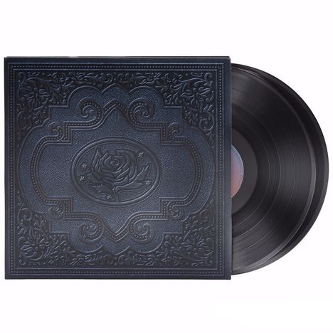 Ryan Adams: Cold Roses (180g), 2 LPs