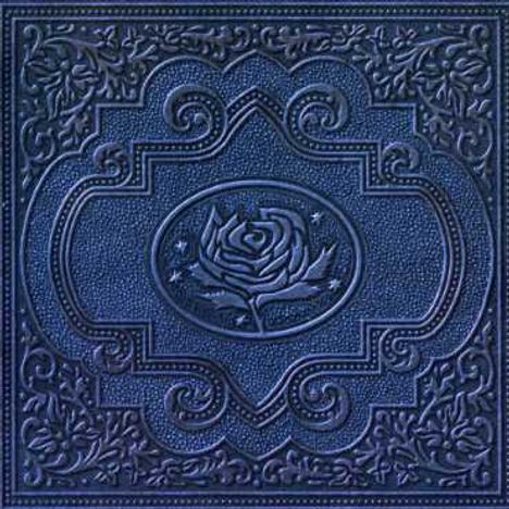 Ryan Adams: Cold Roses, 2 CDs