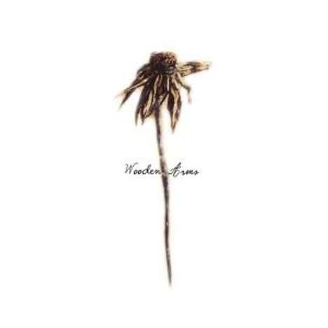 Patrick Watson: Wooden Arms, CD