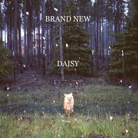 Brand New: Daisy, CD