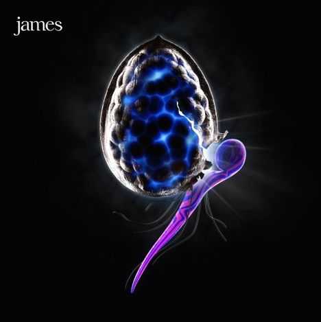 James (Rockband): The Night Before, CD