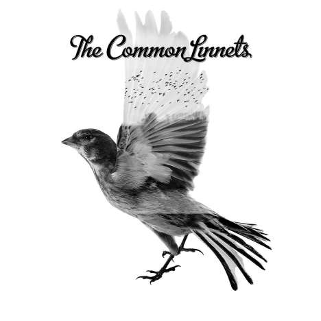 The Common Linnets (Ilse DeLange &amp; Waylon): The Common Linnets (Limited Deluxe Edition), 2 CDs