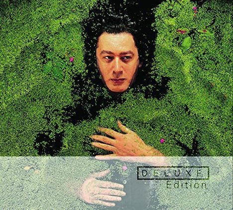 Alain Bashung: Fantaisie Militaire (Deluxe Edition), 2 CDs
