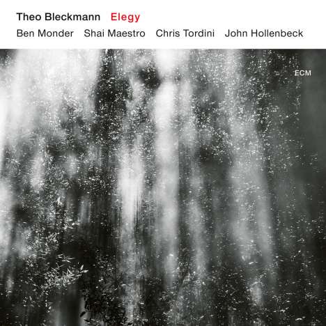 Theo Bleckmann (geb. 1966): Elegy, CD