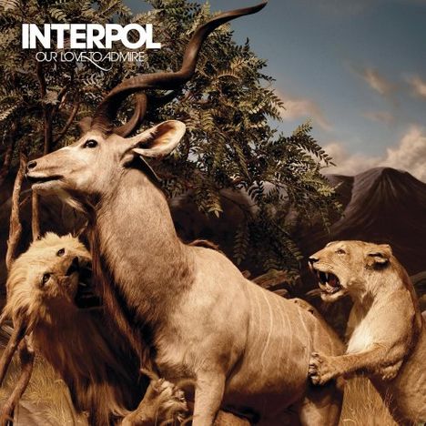 Interpol: Our Love To Admire (10th Anniversary) (remastered) (180g) (Limited-Edition), 2 LPs und 1 DVD