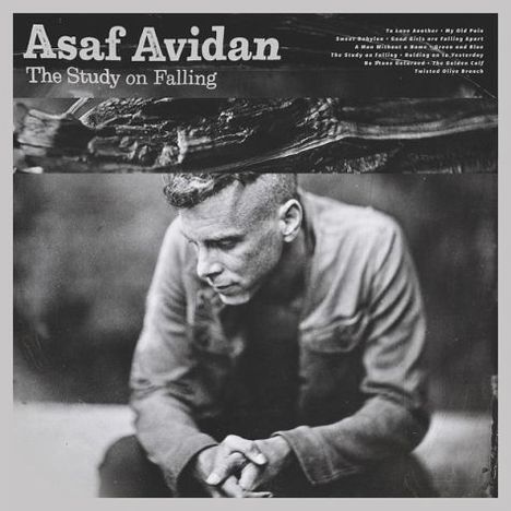 Asaf Avidan: The Study On Falling, LP